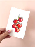 May 2026 Challenge - “Fresh vine tomatoes” - Original Artwork