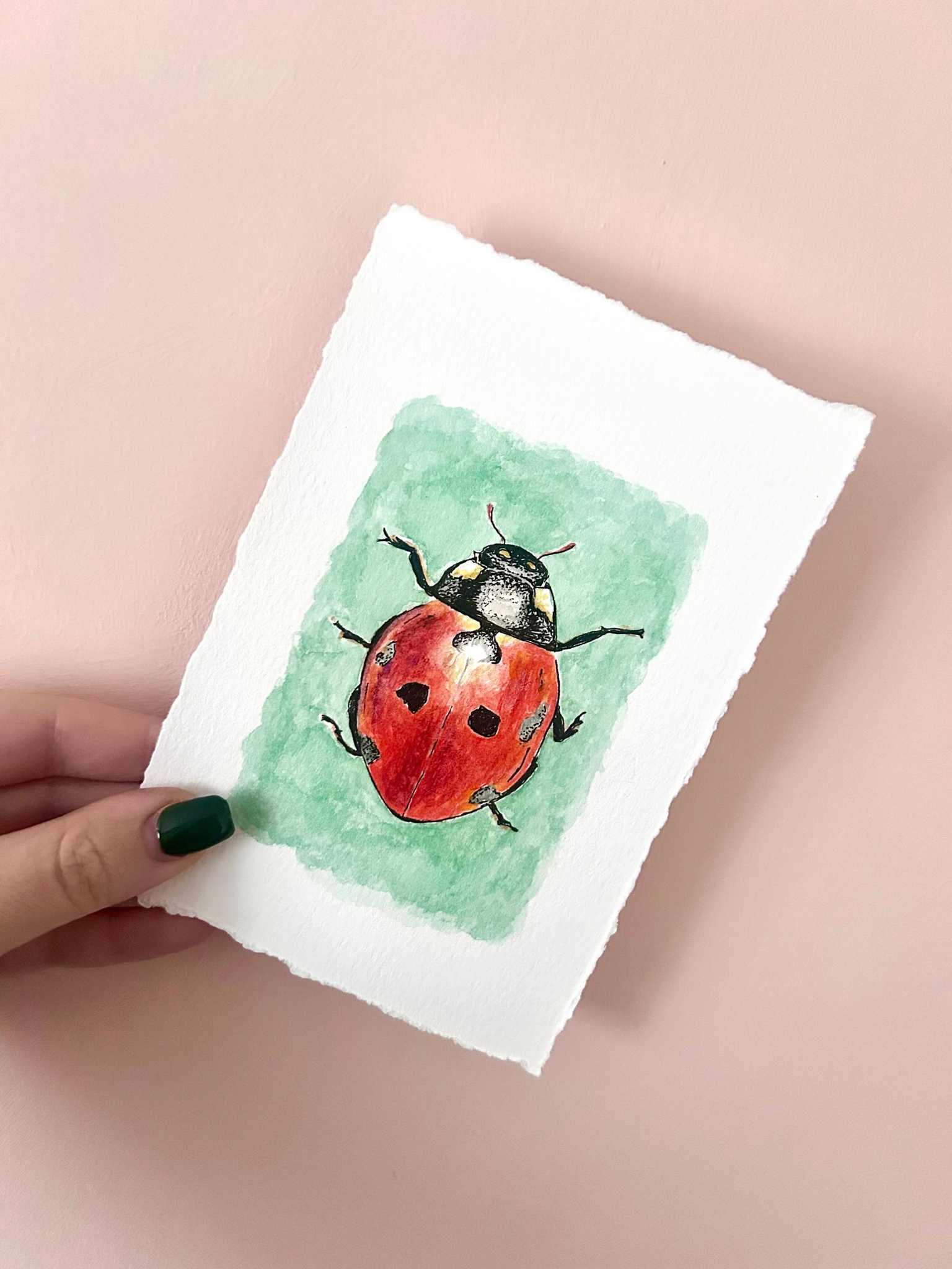 May 2026 Challenge - “Ladybird Season” - Original Artwork