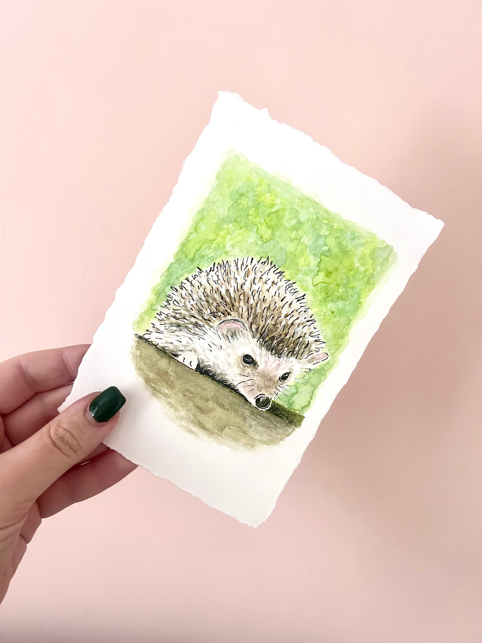 May 2026 Challenge - “Hedgy” - Original Artwork